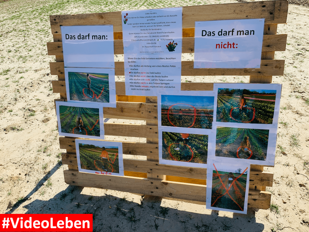 Tulpenmeer - Paulushof bei Grevenbroich - Tulpenfelder - Videoleben - Ausflugstipps trotz Corona
